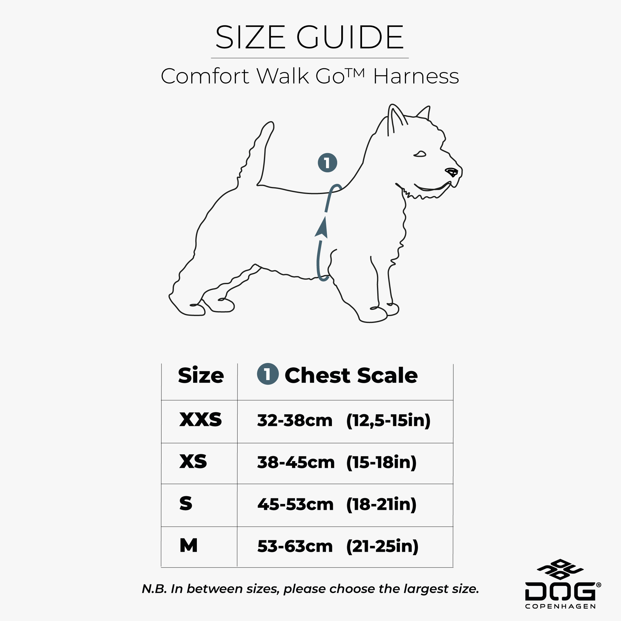 Go 2024 walk harness